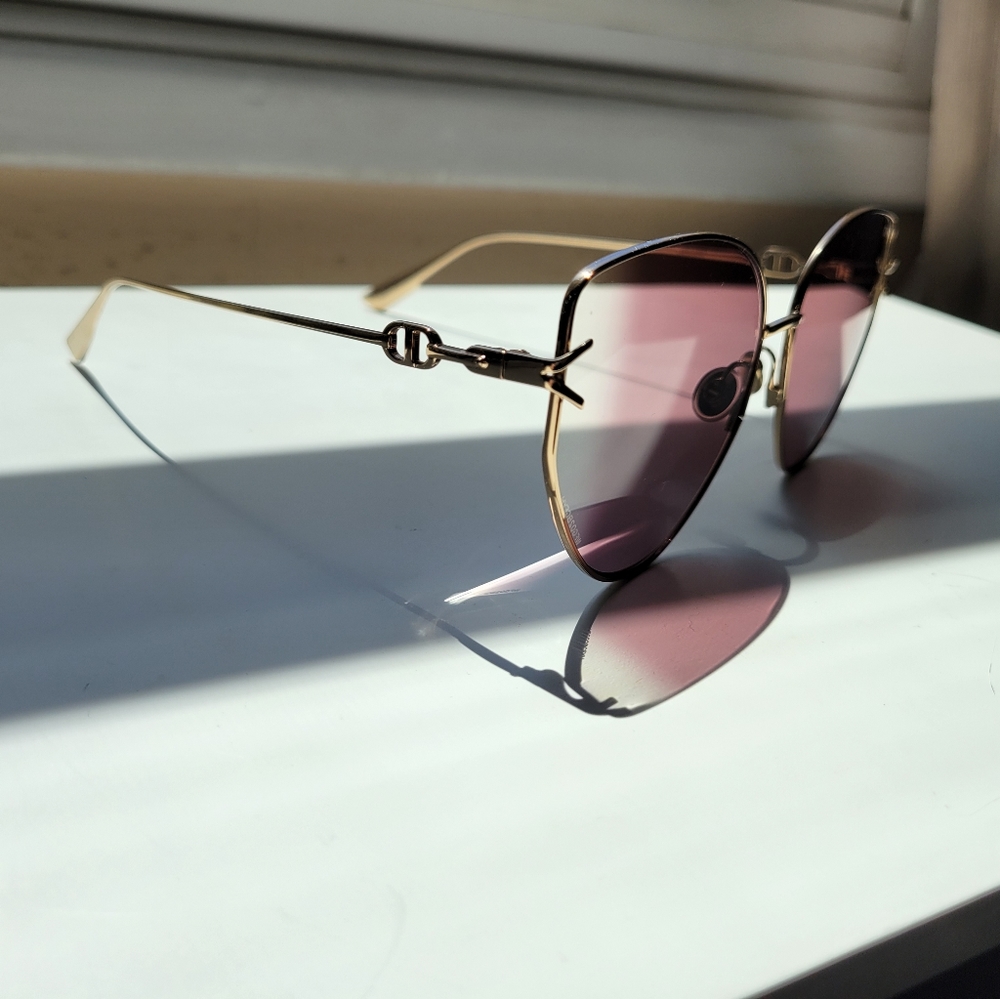 Dior Oversized Butterfly sunglasses